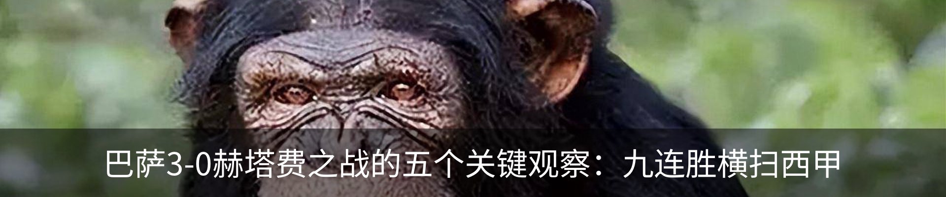 行业资讯
